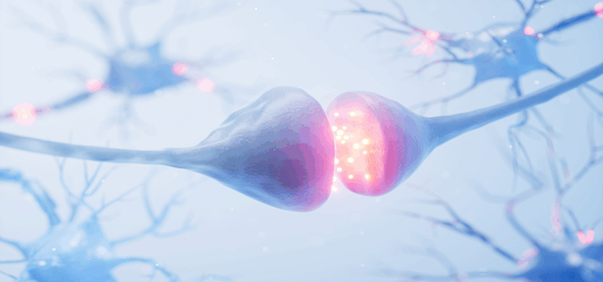 Spinogenix Reports Positive Phase 2..