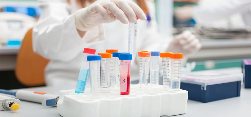 Avant Technologies and SGAustria An..