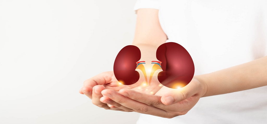 Takeda Reports Stable Kidney Functi..