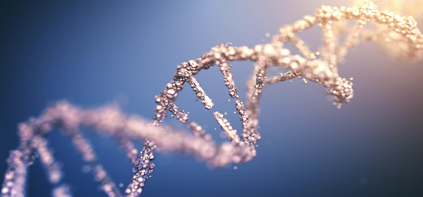 GEMMABio’s Next-Gen SMA1 Gene Thera..