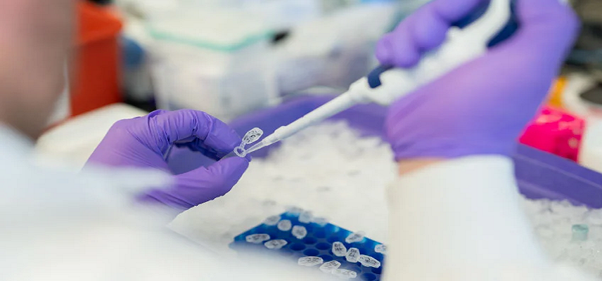 Lighthouse Pharmaceuticals Showcase..