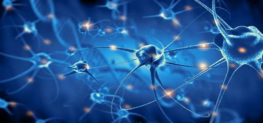 Spinogenix Secures INN Approval for..