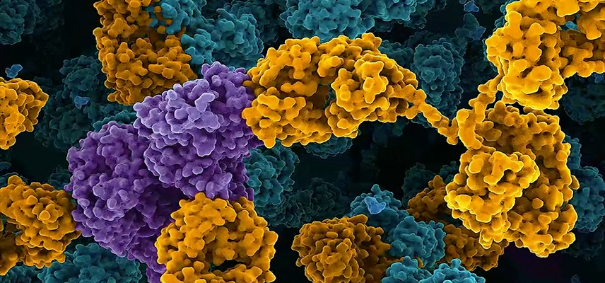 Generate:Biomedicines Advances GB-0..