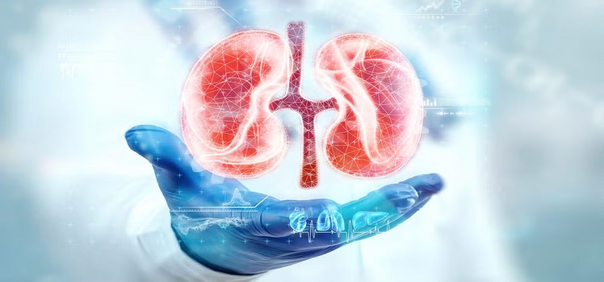 Hansa Biopharma’s Imlifidase Stumbl..