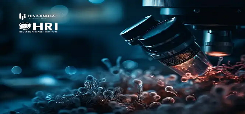 HistoIndex Partners with Houston Research Institut...