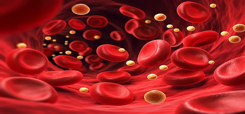 TETRAPHARM Reports Promising Precli..