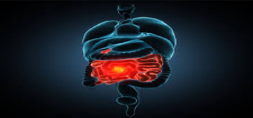 Sanofi and Teva’s duvakitug phase 2b maintenance data demo..