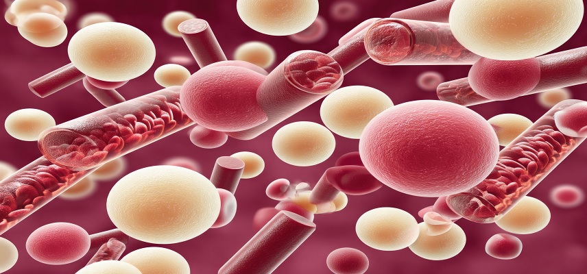 Anselamimab Shows Strong Survival B..