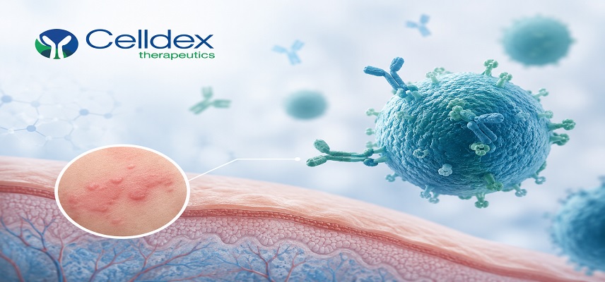 Celldex Reports Long-Term Phase 2 D..