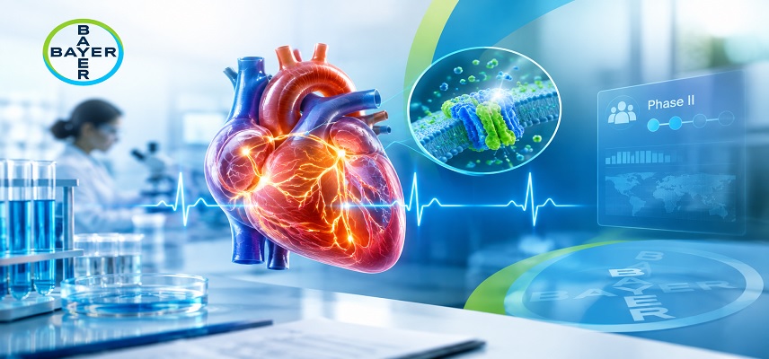 Bayer Starts Phase 2 Trial of BAY 3..